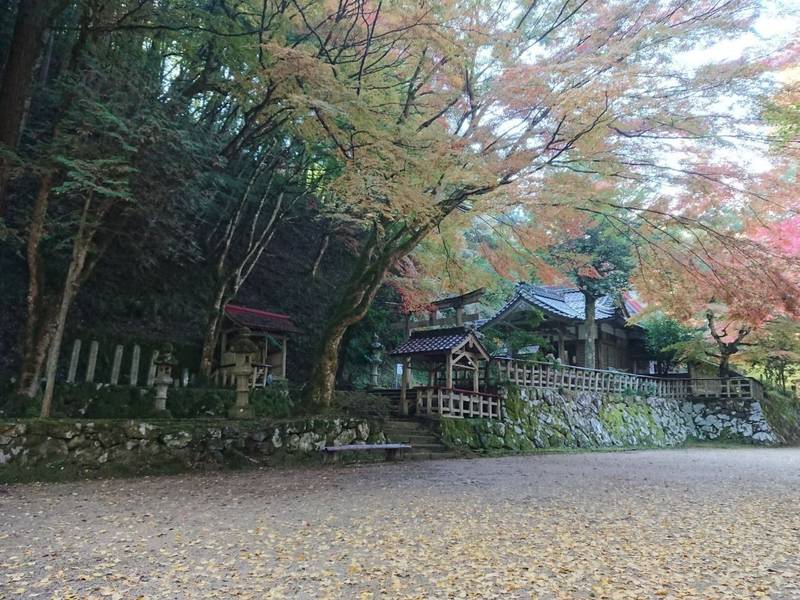 熊野神社 (黒谷町),京都府綾部市黒谷町宮の谷１７