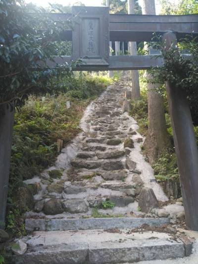 鷹崛権現,見どころ,メカぽん