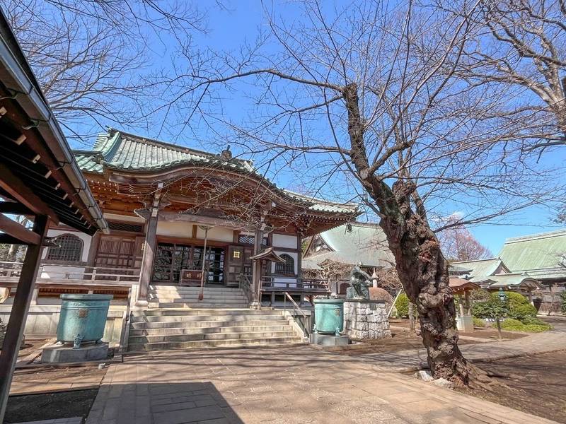 妙福寺  (練馬区),東京都練馬区南大泉5-6-56