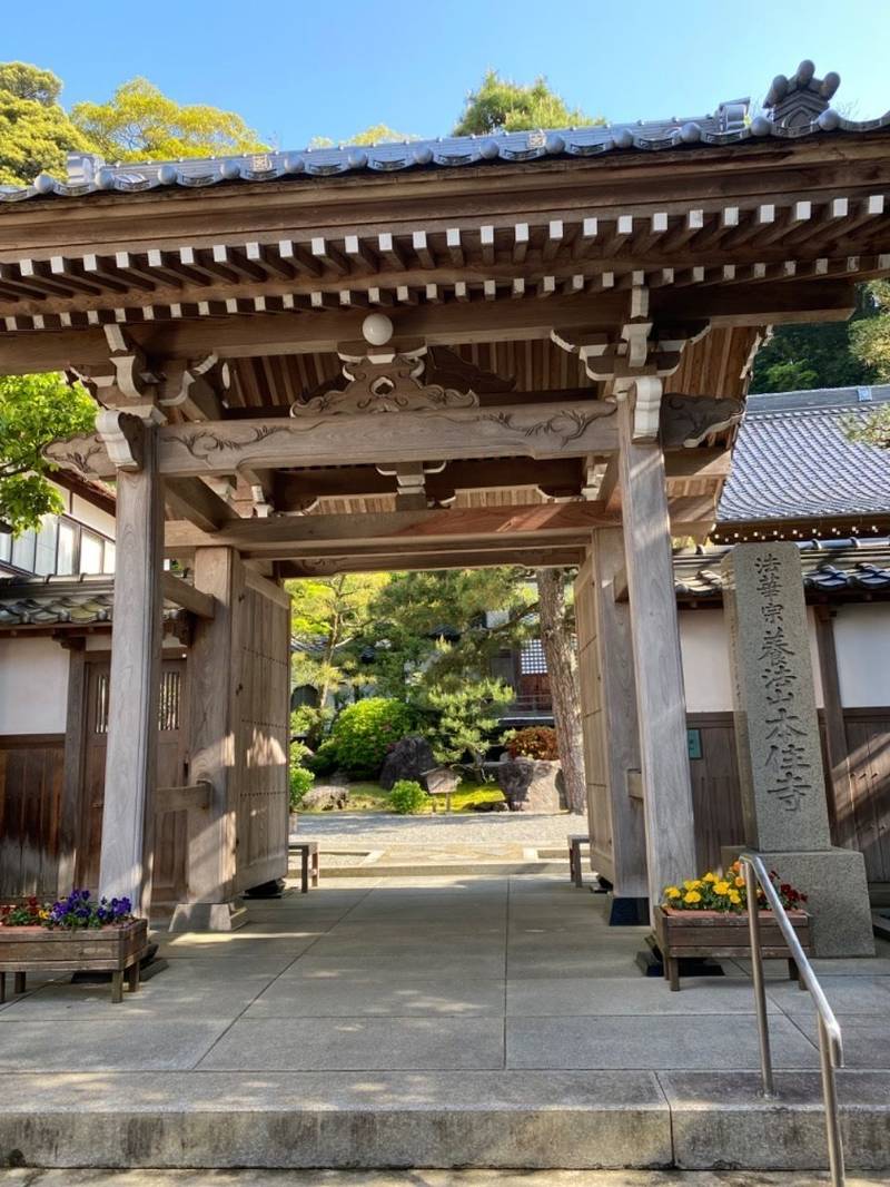 本住寺 見どころ 豊岡市/兵庫県 Omairi(おまいり)