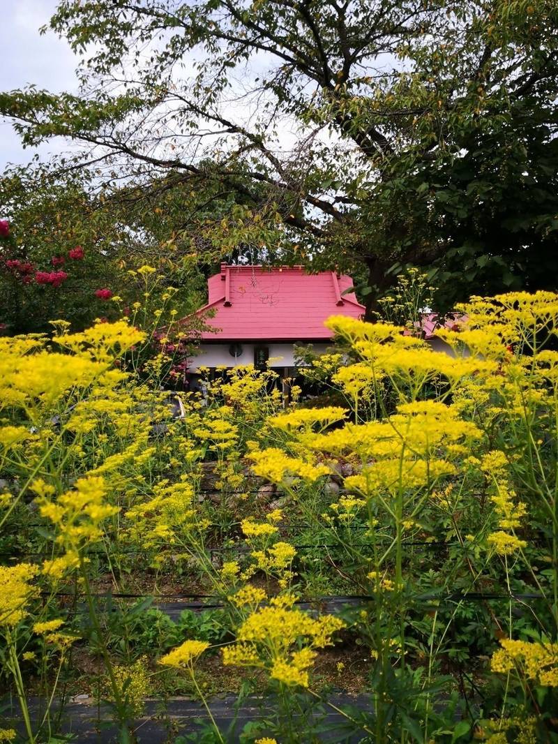 真性寺の御朱印