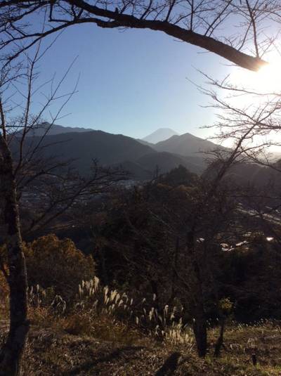 勝山城,見どころ,こしあん