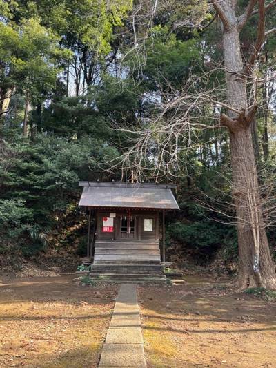 上田神明社,見どころ,you