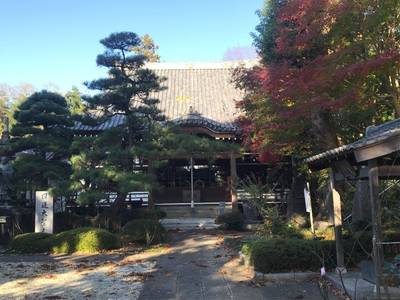 長國山 妙照寺,見どころ,ほし
