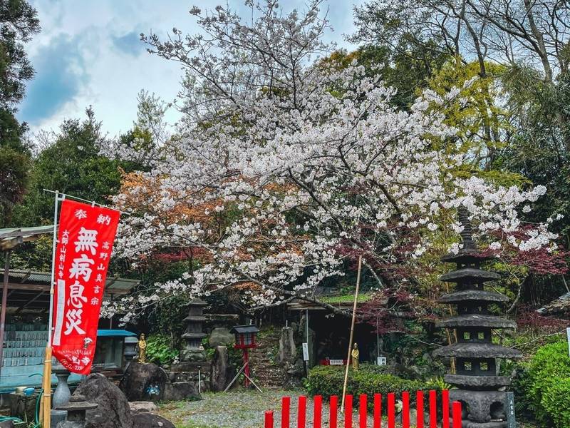 剣山寺,鹿児島県日置市日吉町日置1239-6