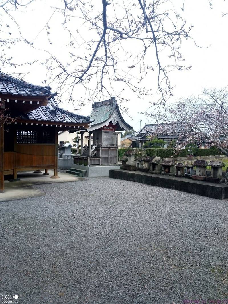 中島神社,大分県宇佐市上高家530
