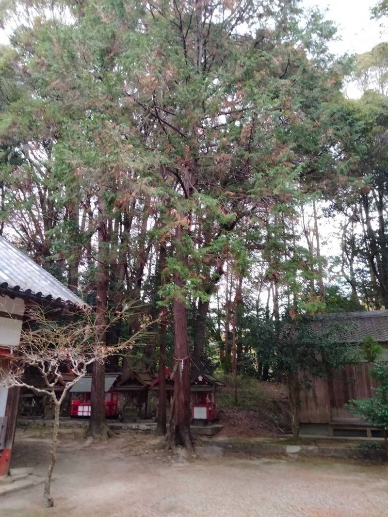 松尾神社,京都府木津川市山城町椿井松尾41