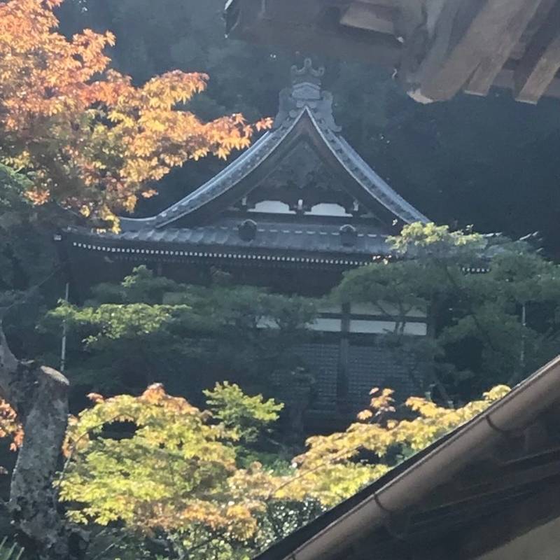 金剛城寺,兵庫県神崎郡福崎町田口236