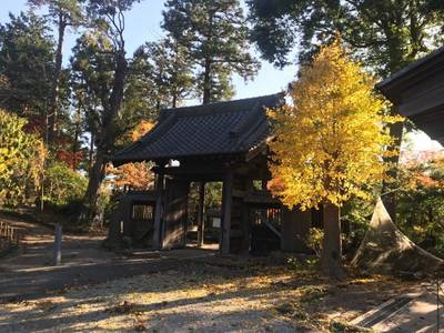 長國山 妙照寺,見どころ,ほし