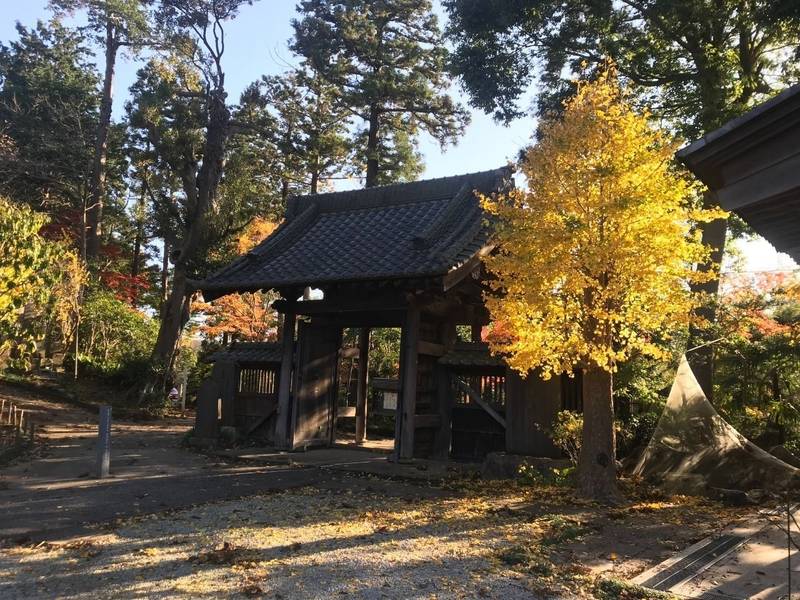 長國山 妙照寺,千葉県柏市大井１０７０
