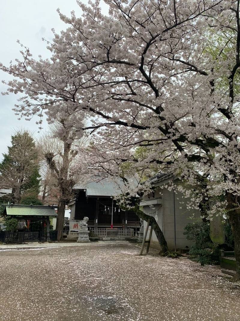 春日神社    (市川),千葉県市川市市川3-20-8