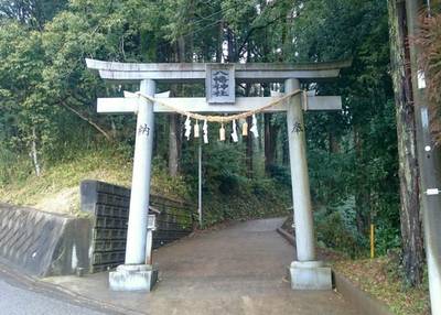 椎崎八幡神社,見どころ,のっぽのテリー