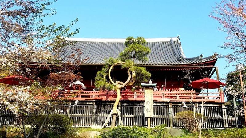 寛永寺 清水観音堂,東京都台東区上野公園1-29