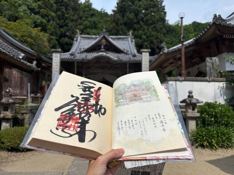 藤井寺,徳島県吉野川市鴨島町飯尾1525