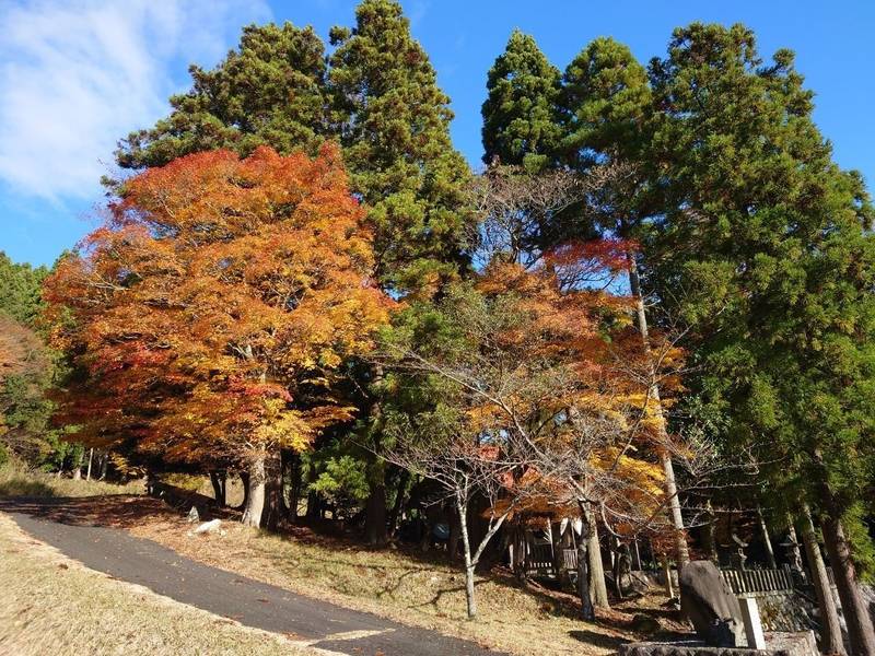 御勝八幡宮,京都府福知山市上野条２４３