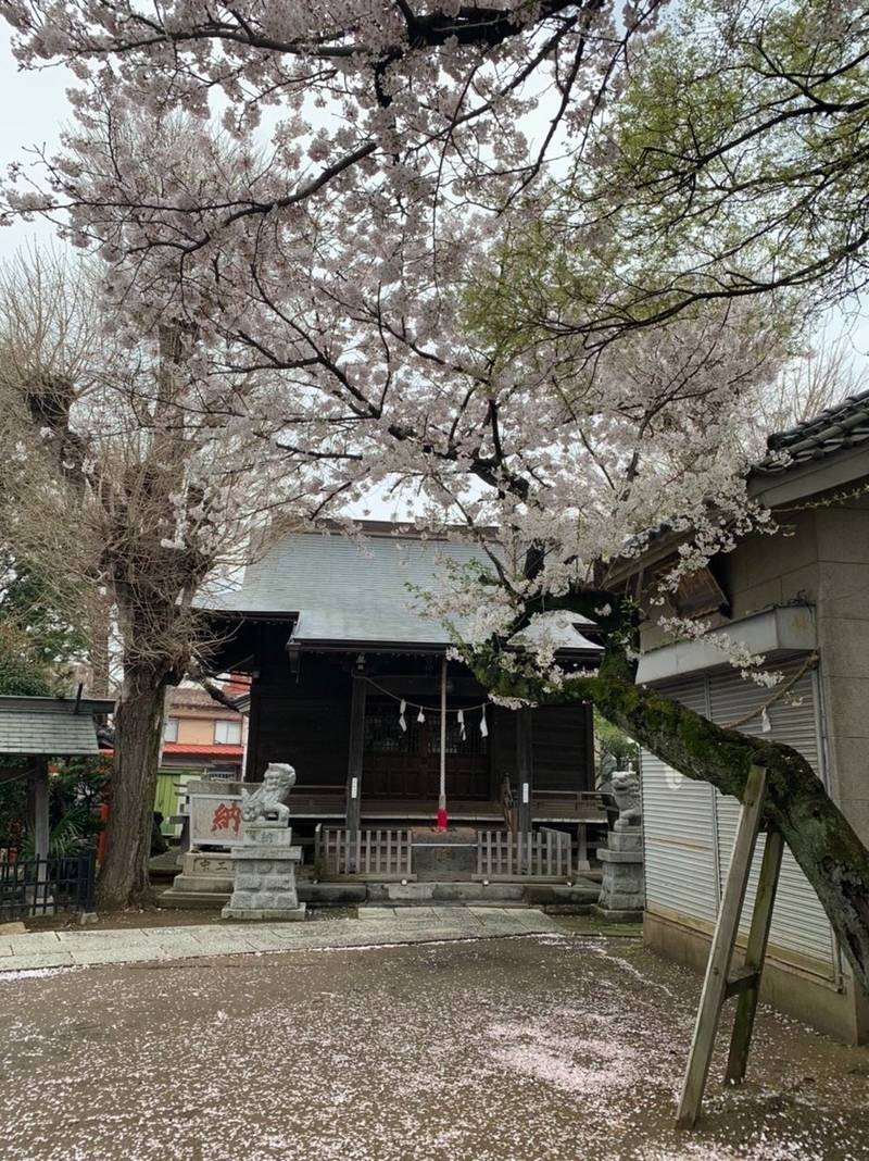 春日神社    (市川),千葉県市川市市川3-20-8