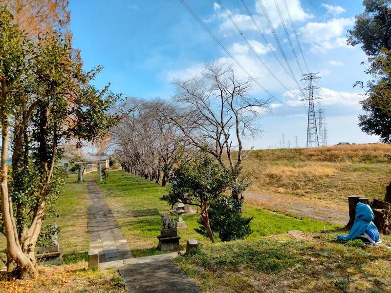氷川神社  (下押垂),埼玉県東松山市下押垂５２６