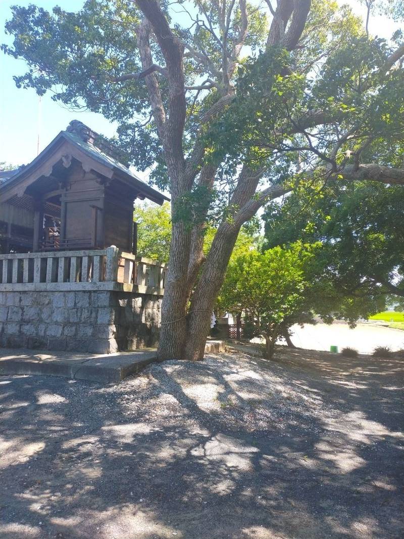 海神社,福岡県行橋市今井3627