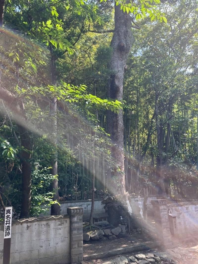 神魂伊能知奴志神社  (命主社),島根県出雲市大社町杵築東185