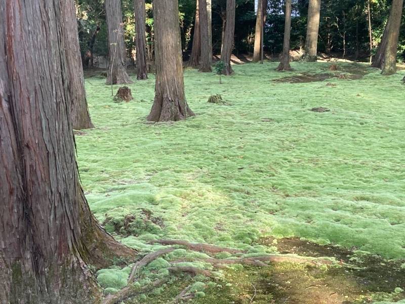 唐招提寺 見どころ 奈良市 奈良県 Omairi おまいり