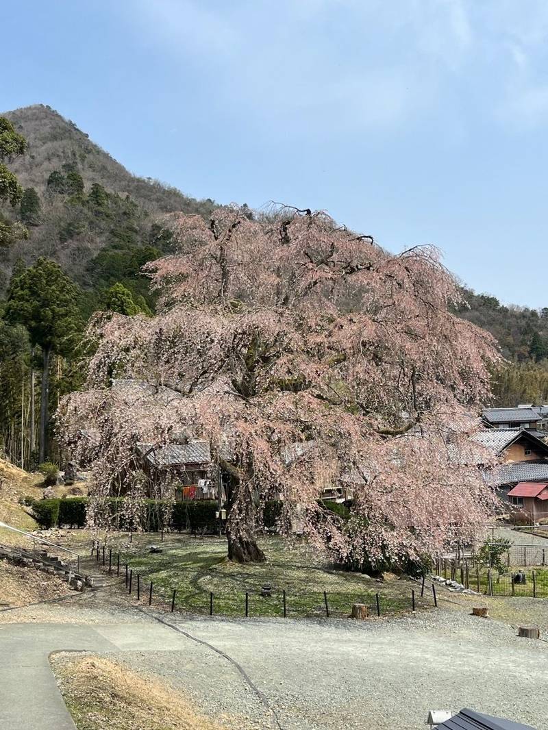 妙祐寺,福井県小浜市中井13-60