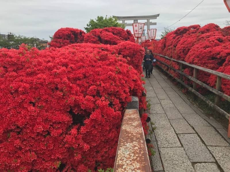 長岡天満宮,京都府長岡京市天神2丁目15-13