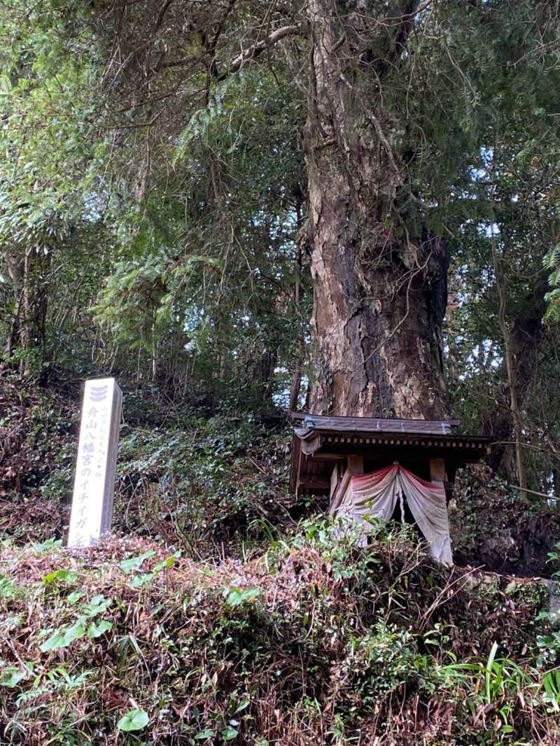 舟山八幡宮,山口県山口市仁保下郷3341番地