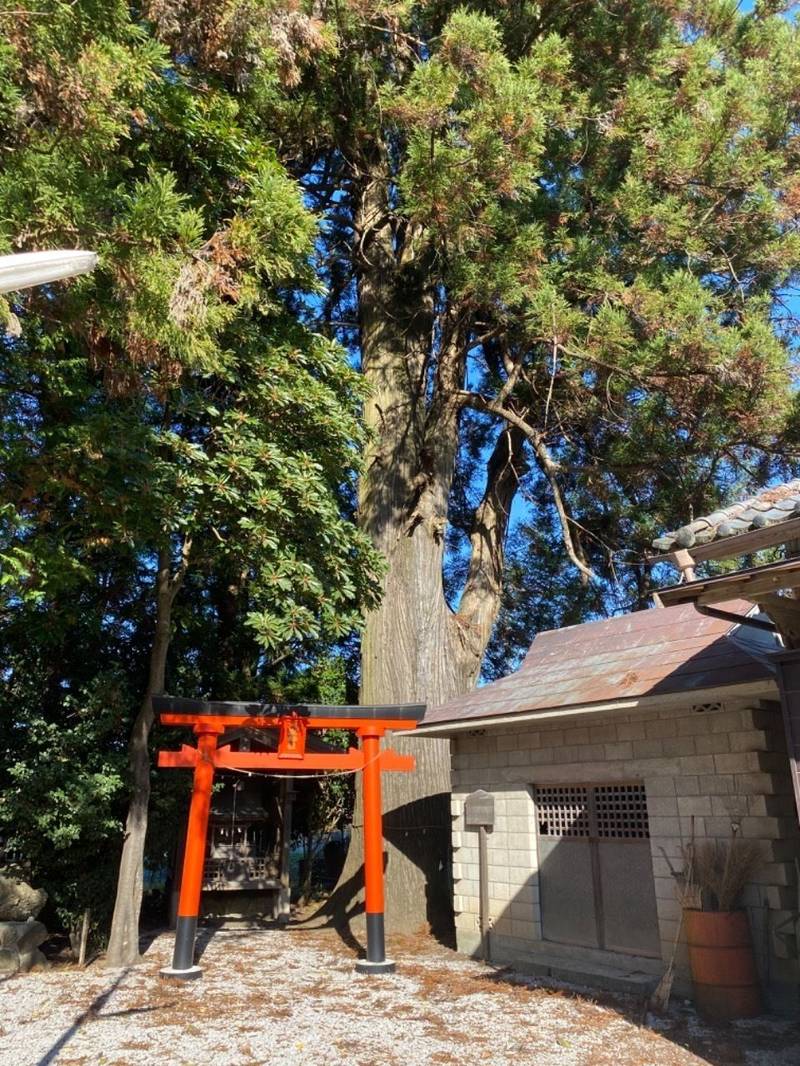 諏訪神社  (秩父市上影森),埼玉県秩父市 上影森２５５−１