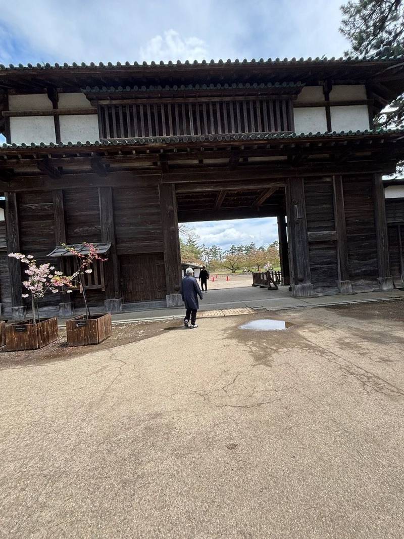弘前城,青森県弘前市下白銀町1