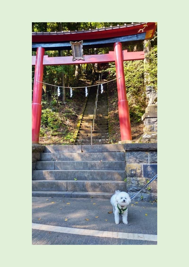 魔王天神社,山梨県南都留郡鳴沢村7585-2