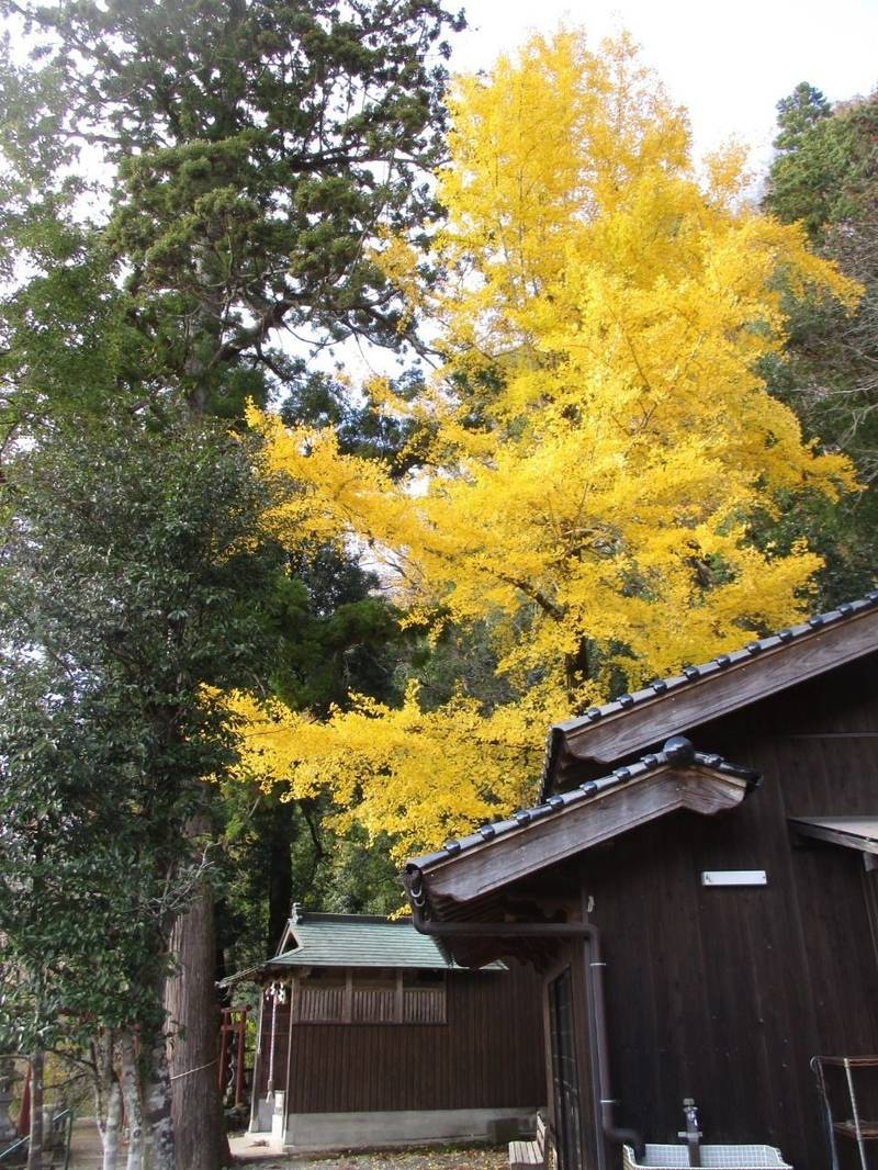 三柱神社,兵庫県養父市八鹿町八鹿１０２２