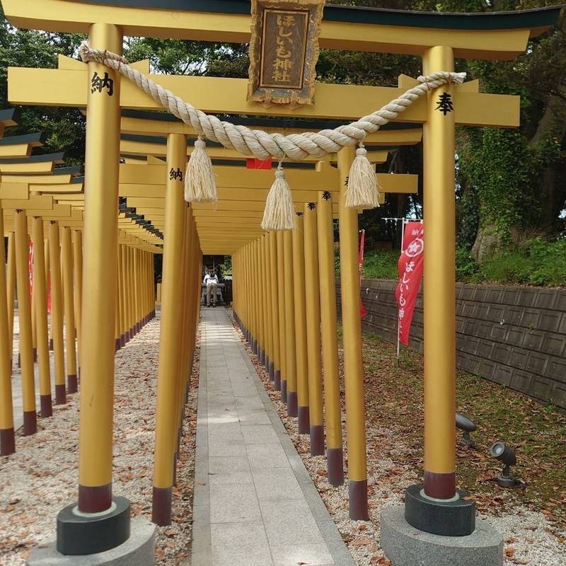 ほしいも神社  (堀出神社境内),茨城県ひたちなか市阿字ケ浦町178番地