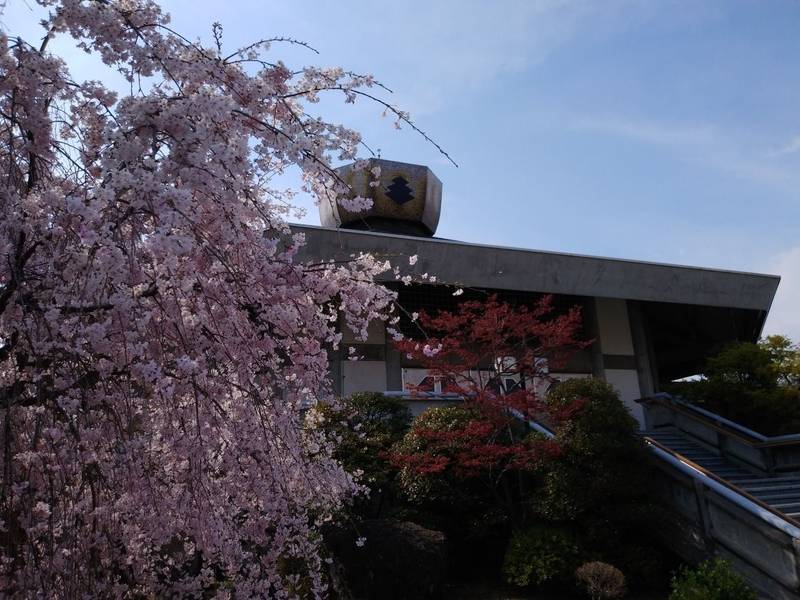 遠光寺,山梨県甲府市伊勢２丁目２−３