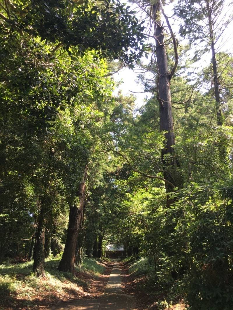 阿彌神社 (竹来)