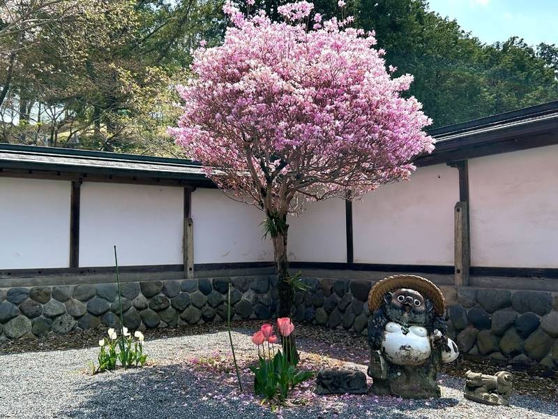 天寧寺,東京都青梅市根ヶ布1-454