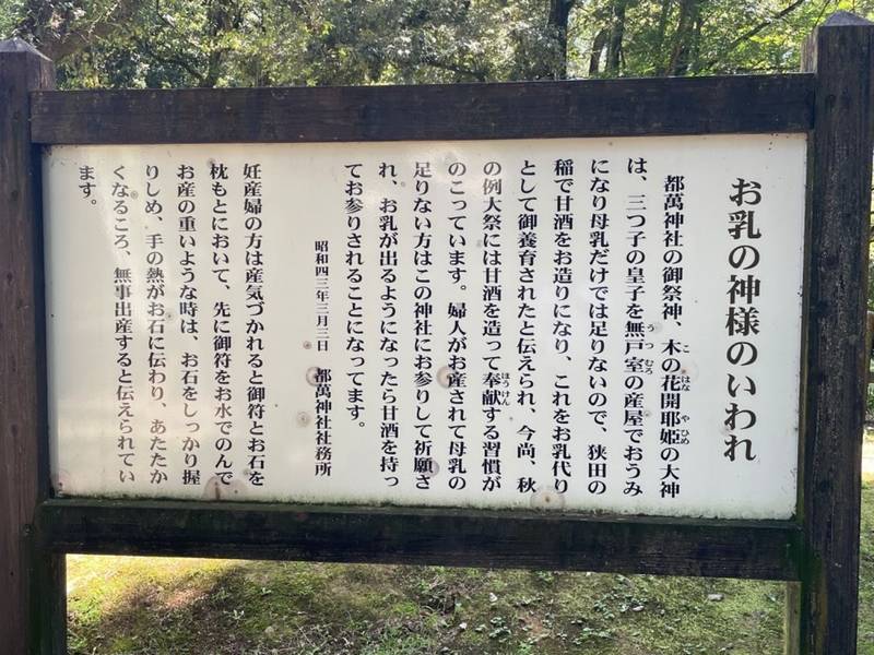 南方神社,宮崎県西都市大字穂北935