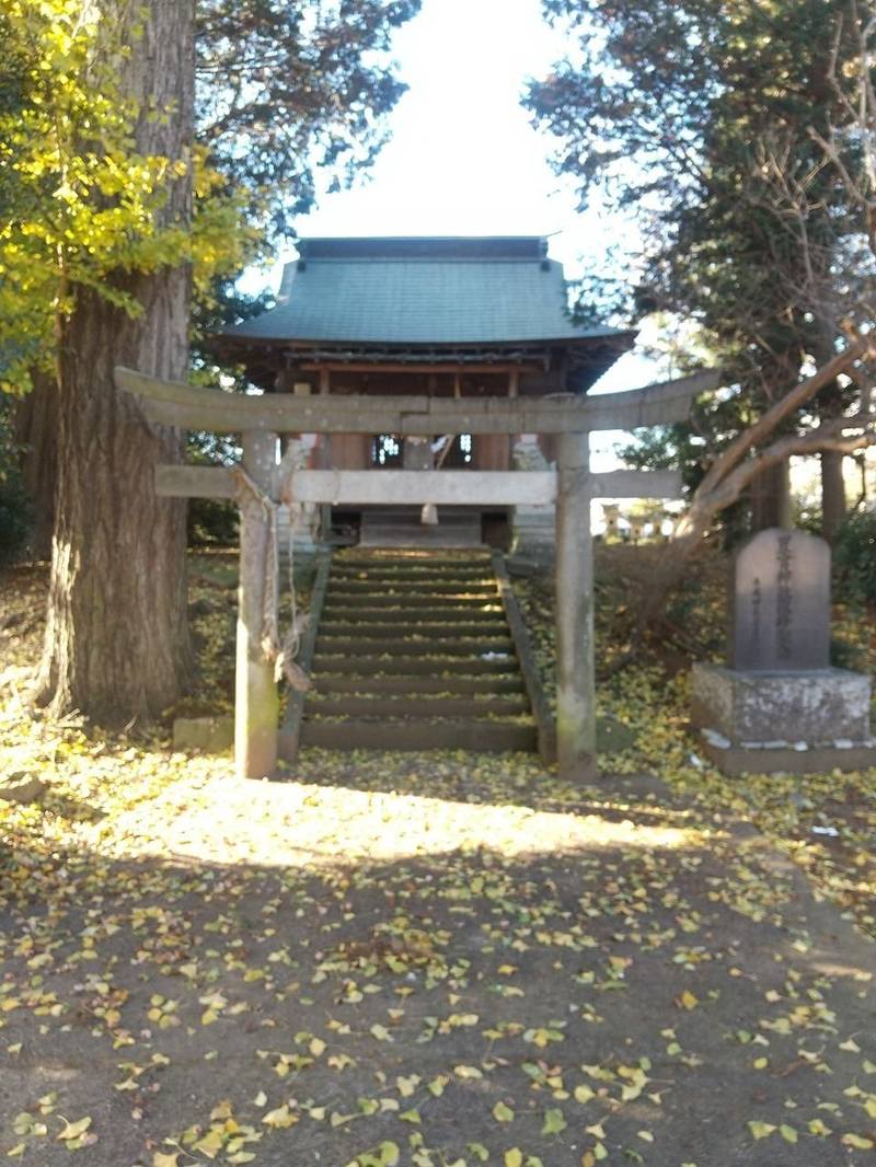 星宮神社,栃木県河内郡上三川町多功１５１９