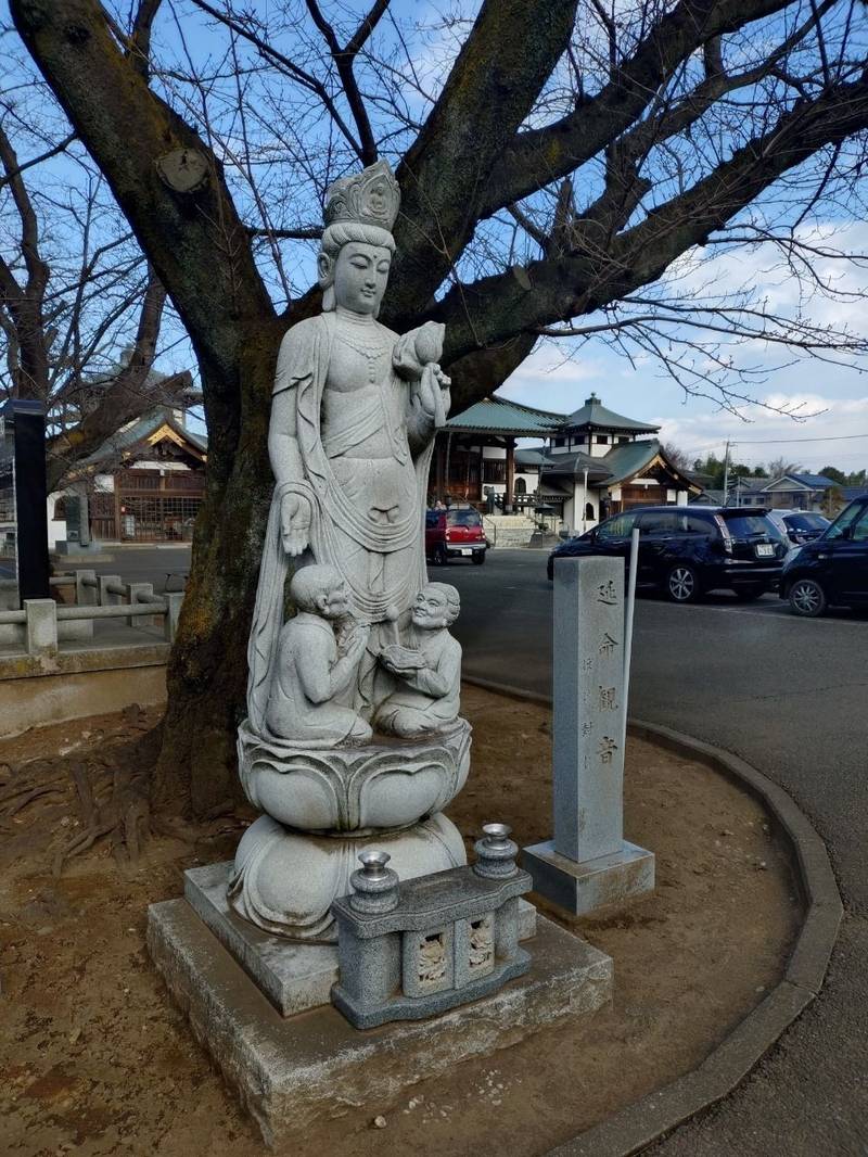大應寺,埼玉県富士見市水子1765