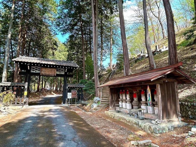 天寧寺,東京都青梅市根ヶ布1-454