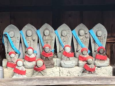 金蓮寺,見どころ,maki