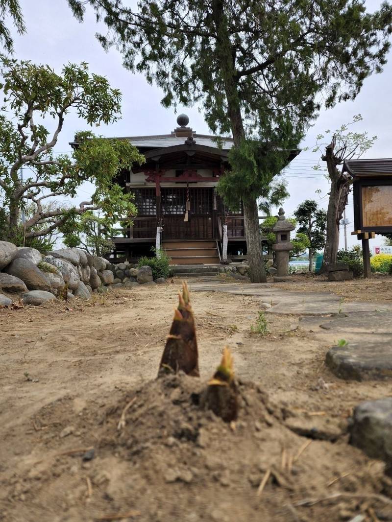 微妙山 薬王院 長泉寺,群馬県太田市只上1189