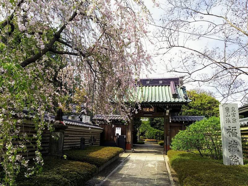 福蔵院,東京都中野区白鷺1-31-5