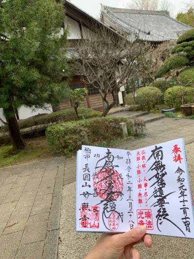 長國山 妙照寺,御朱印,かのん