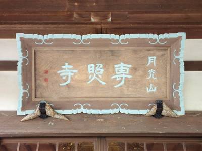 専照寺,見どころ,123たけちゃん