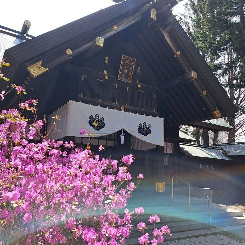 琴似神社,北海道札幌市西区琴似1条7丁目1-30