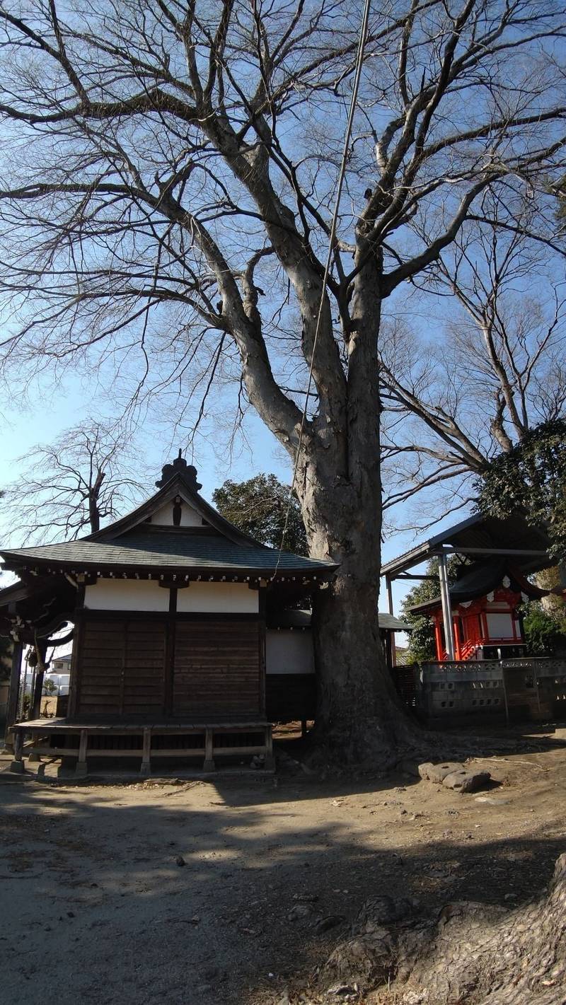 春日神社,群馬県前橋市上佐鳥町３４７