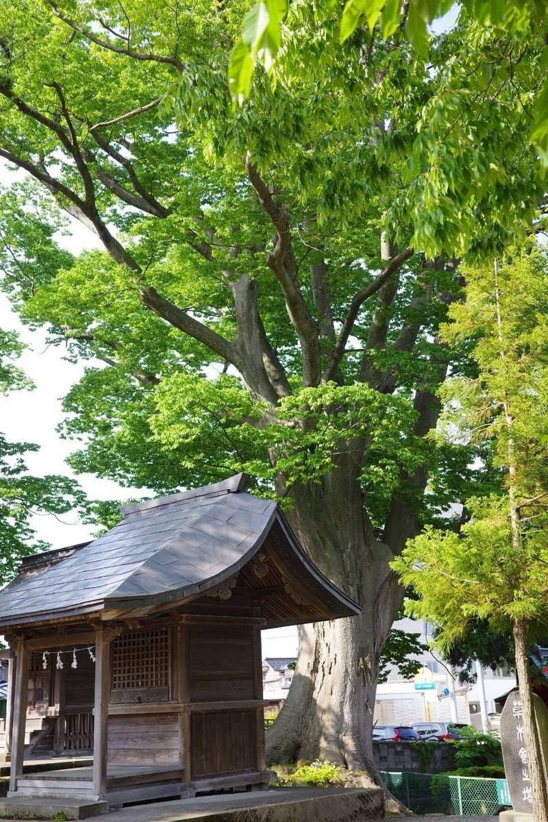 山王日枝神社,山形県鶴岡市山王町２−２６