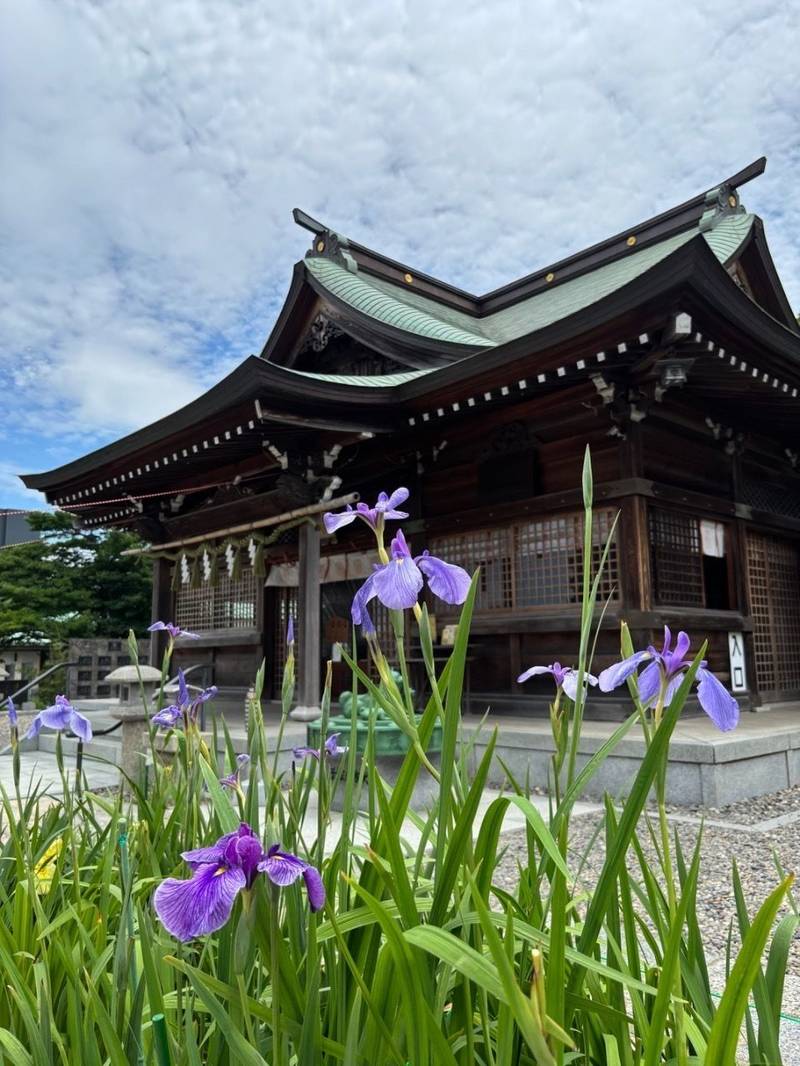 岡田宮,福岡県北九州市八幡西区岡田町1-1
