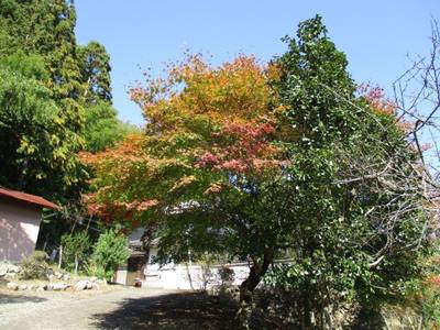 東月寺,見どころ,とっちー