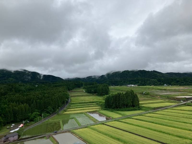 勝山城,福井県勝山市平泉寺町８５−２６−１